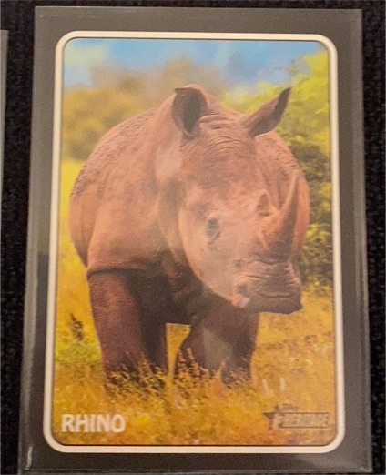 2024 Topps Heritage 1975 Topps Zoo's Who Stick-Ons #75Z-16 Rhino — front