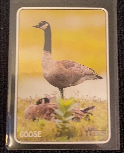 2024 Topps Heritage #75Z-13 Rich Gossage Goose — front