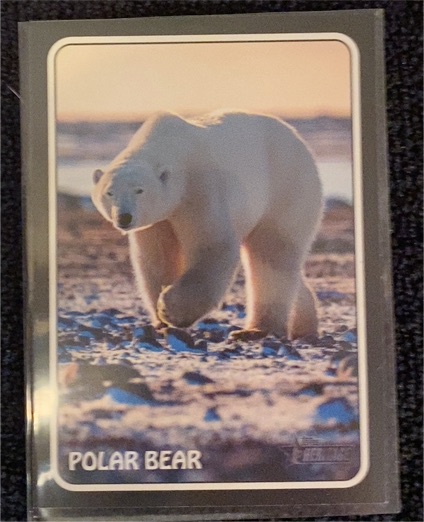 2024 Topps Heritage #75Z-9 Pete Alonso Polar Bear — front
