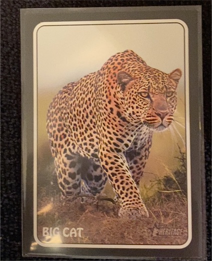 2024 Topps Heritage #75Z-20 Andres Galarraga Big Cat — front