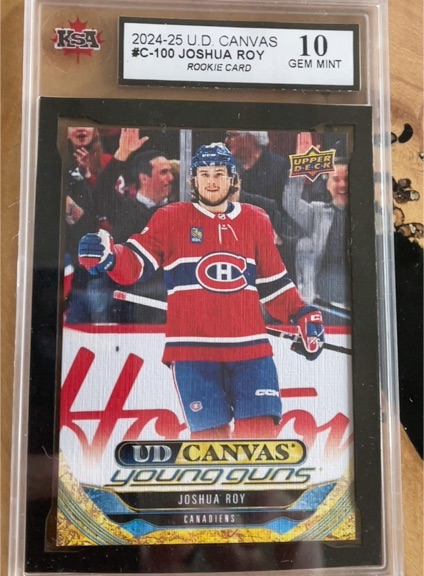2024-25 Upper Deck Canvas #C-100 Joshua Roy — front
