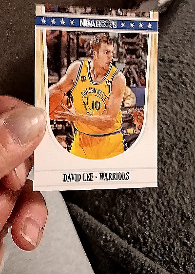 2011-12 Panini NBA Hoops #10 David Lee — front
