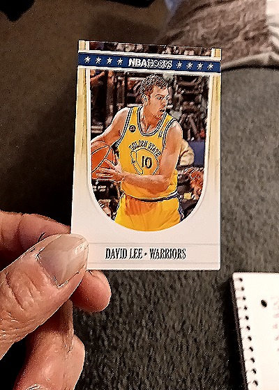 2011-12 Panini NBA Hoops #66 David Lee — front