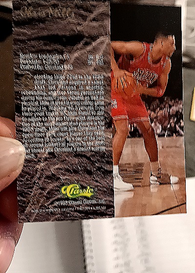 1993 Classic Four Sport #DS44 Isaiah Rider — back