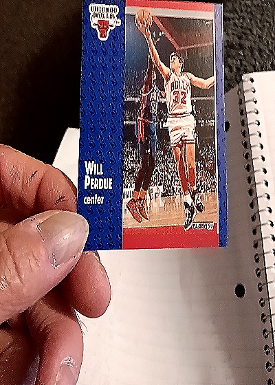 1991-92 Fleer #32 Will Perdue — front