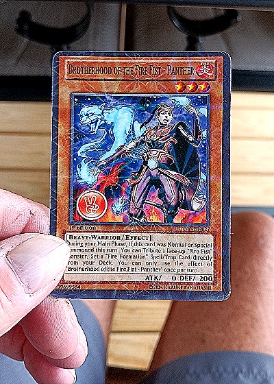 2020 Yu-Gi-Oh! AP07-EN013 Brotherhood of the Fire Fist - Panther — front