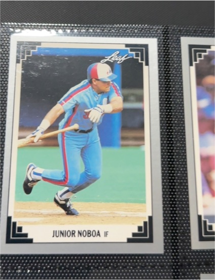 1991 Leaf #255 Junior Noboa — front