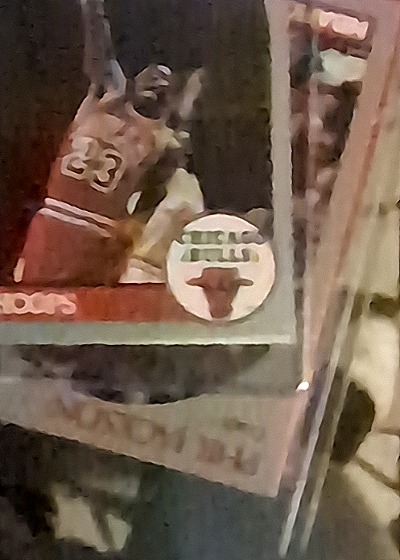 1992 Fleer #23 Michael Jordan — front