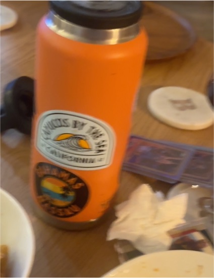 Aviator Nation Orange Stainless Steel Travel Tumbler — front