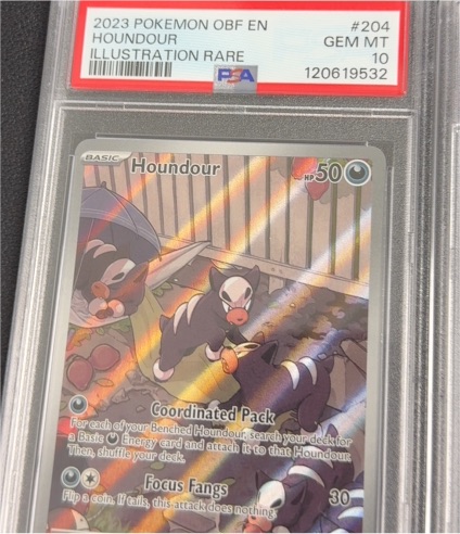 2023 Pokémon OBF #204 Houndour Illustration Rare — front
