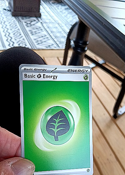 2023 Pokémon Scarlet & Violet #001 Basic Grass Energy — front