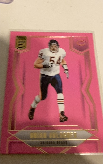 2025 Panini Donruss Elite #49 Brian Urlacher — front