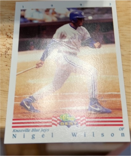 1992 Leaf #N/A Nigel Wilson — front