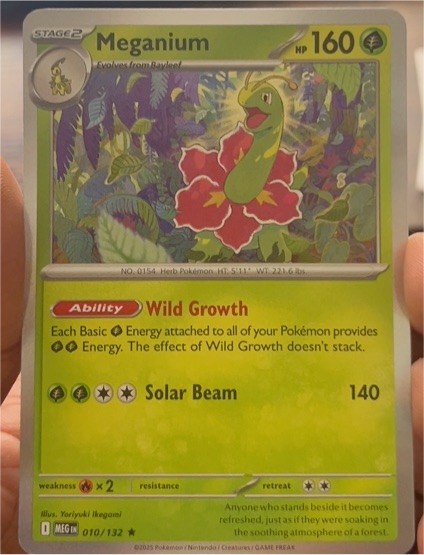 2025 Mega Evolution #010 Meganium — front