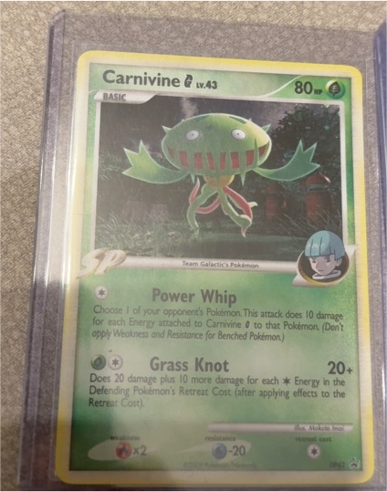 2007 Pokémon Black Star Promo DP42 Carnivine G — front