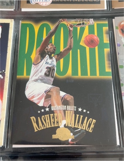 1995-96 Skybox #248 Rasheed Wallace — front