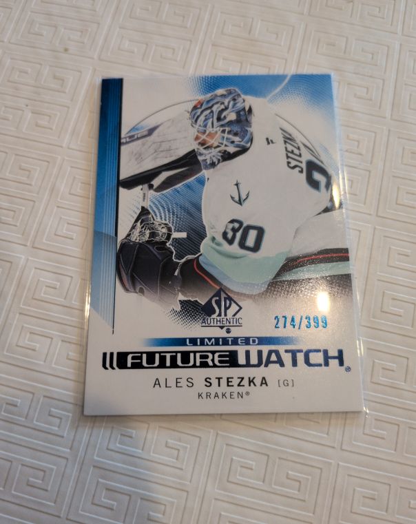 2024-25 Upper Deck SP Authentic Limited Future Watch #274 Ales Stezka — front