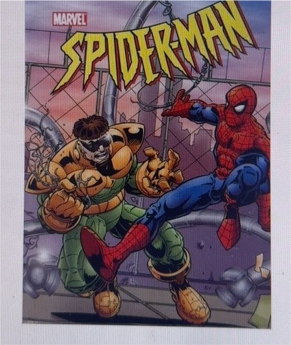 The Spectacular Spider-Man #231 (1996) Marvel Comics — front