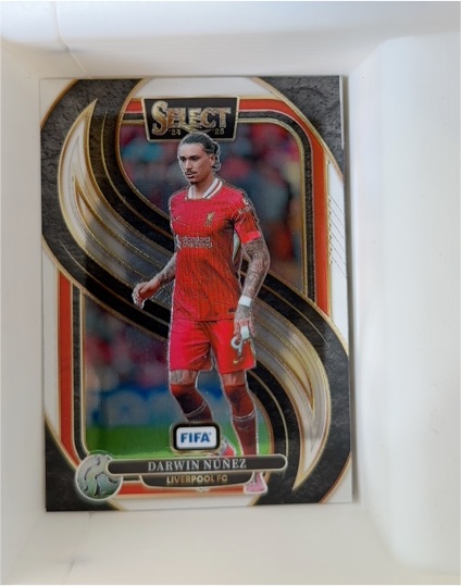 2024-25 Panini Select FIFA Mezzanine #119 Darwin Nunez — front