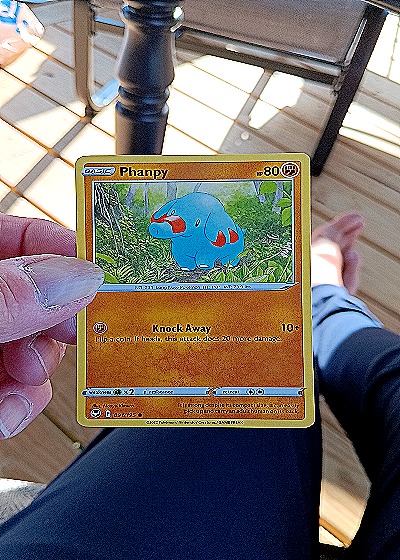 2022 Pokémon Silver Tempest #091 Phanpy — front