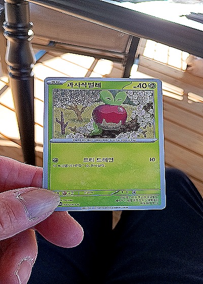 2023 Pokémon Scarlet & Violet Destined Rivals #16 Applin — front