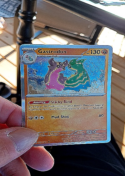 2023 Pokémon Sv08: Surging Sparks #107 Gastrodon — front
