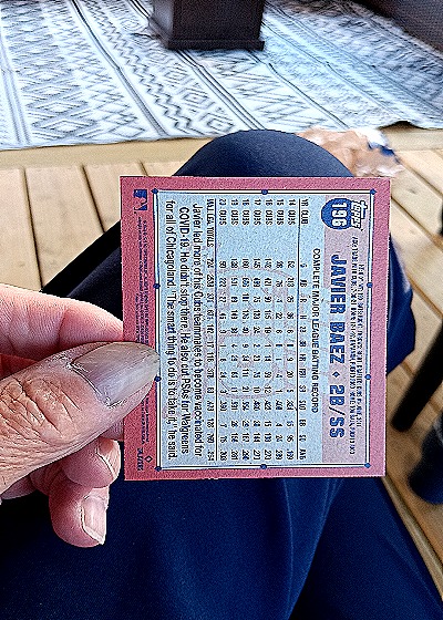 1991 Topps #166 Javier Baez — back