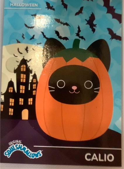 2025 Panini Squishmallows Halloween #19 Calio — front