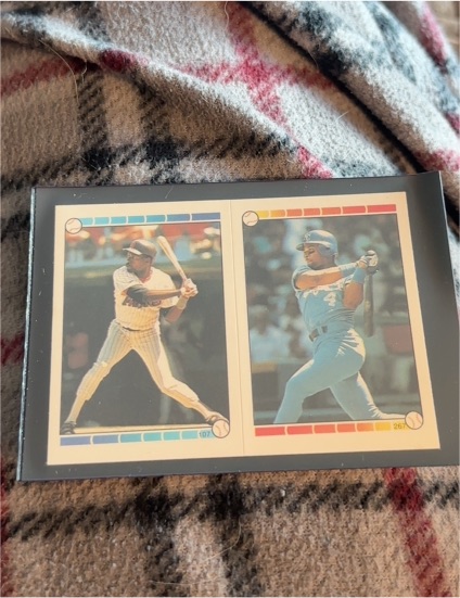 1989 Topps Stickers #107 Marvelle Wynne — front
