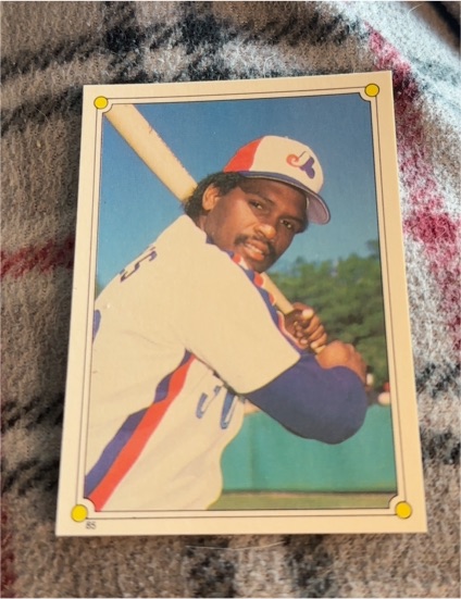 1987 Topps Stickers #85 Tim Raines — front