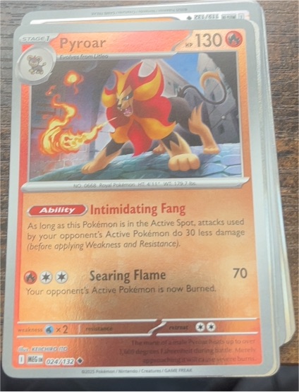2025 Pokémon Mega Evolution #024 Pyroar — front