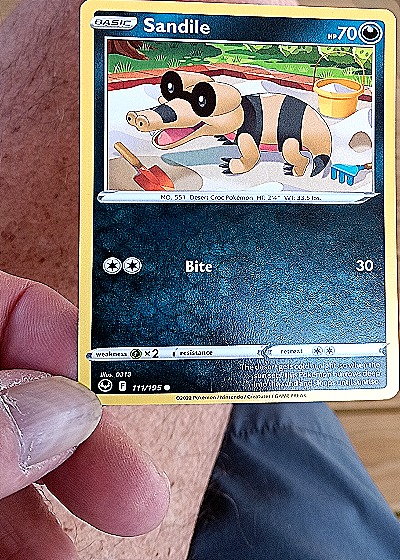 2022 Pokemon Sword & Shield Silver Tempest #111 Sandile — front