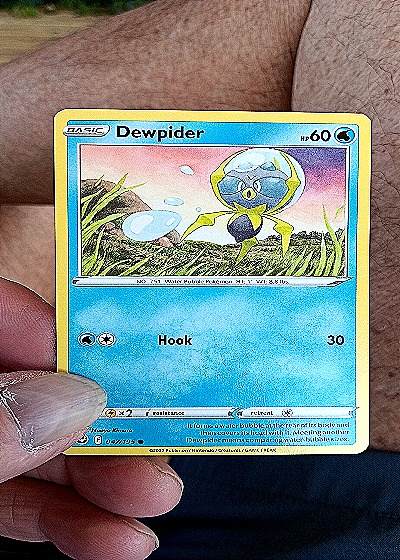 2022 Pokémon Sword & Shield Silver Tempest #47 Dewpider — front