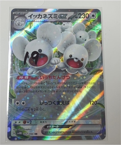 Maushold ex 057/066 Future Flash — front