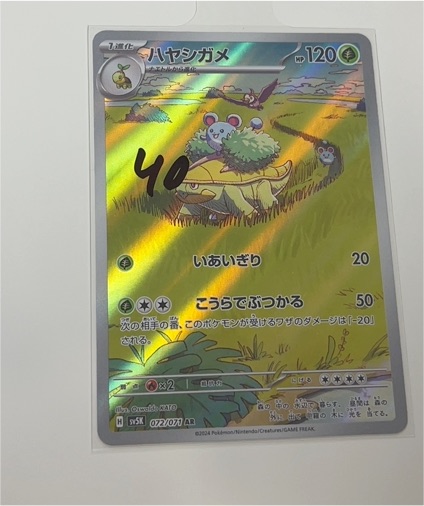 2024 Pokémon AR 072/071 Grotle Wild Force — front
