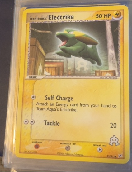 2004 EX Team Magma vs Team Aqua #53 Electrike — front