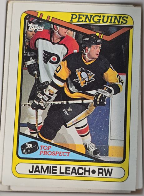 1990-91 Topps #377 Jamie Leach — front