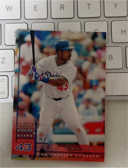 1998 Leaf Rookies & Stars #43 Raul Mondesi — front