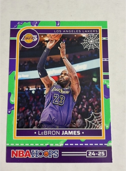 2024-25 Panini NBA Haunted Hoops #193 LeBron James — front