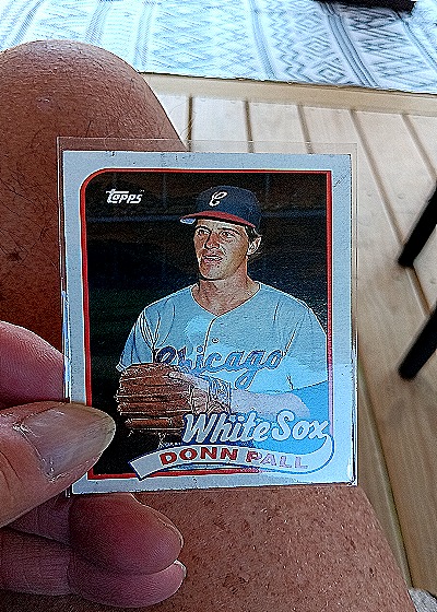 1989 Topps #458 Donn Pall — front