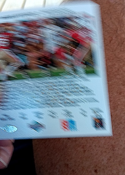 1991 Upper Deck Domino's Pizza Quarterback Challenge #31 Mark Rypien — back