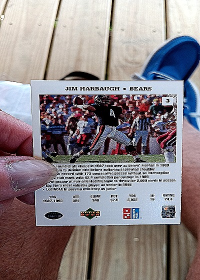 1991 Upper Deck Domino's Quarterback Challenge #3 Jim Harbaugh — back