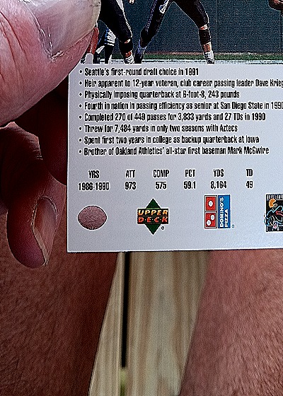 1991 Upper Deck Domino's The Quarterbacks #28 Dan McGwire — back