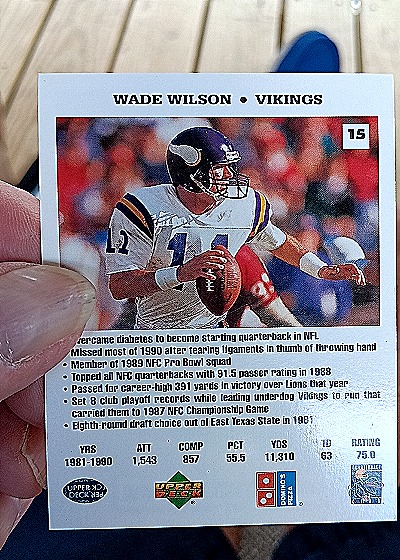 1991 Upper Deck Domino's Pizza Quarterback Challenge #15 Wade Wilson — back