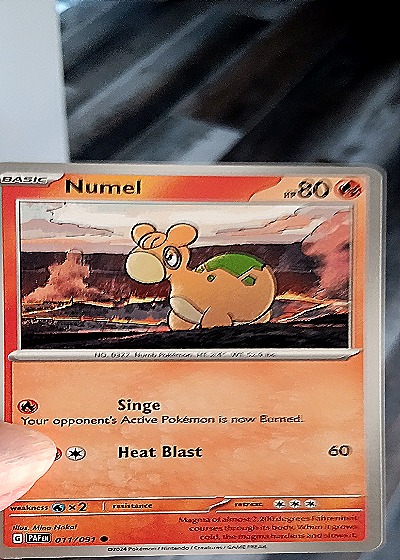 2024 Pokémon Paldean Fates #011 Numel — front
