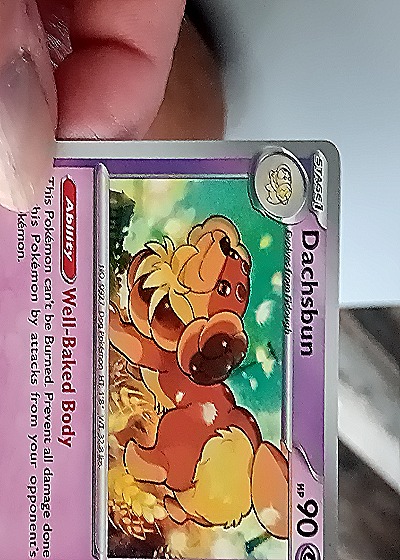2023 Pokémon Scarlet & Violet Paldean Fates #039 Dachsbun — front