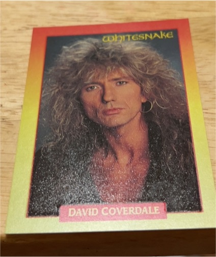 1991 Brockum Rock Cards #121 David Coverdale Whitesnake — front