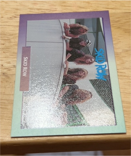 1991 Brockum RockCards #179 Skid Row — front