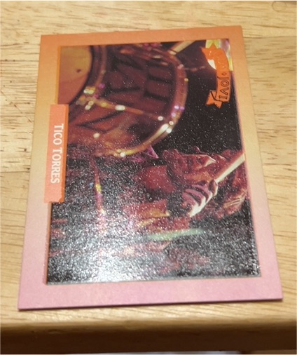 1991 Brockum RockCards #288 Tico Torres — front