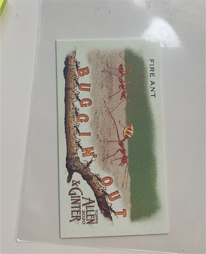 2020 Topps Allen & Ginter Chrome Buggin' Out! Mini Fire Ant #MBOC-16 — front